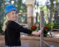 Raptor Feeding Exhibit�